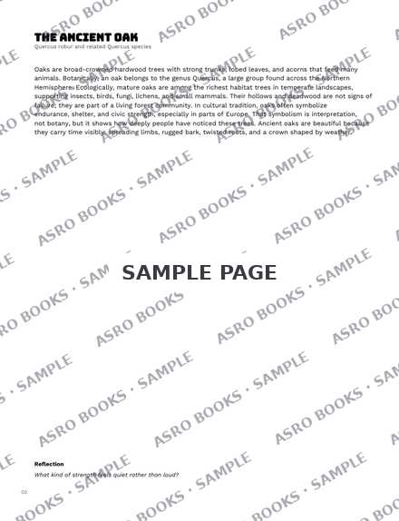 The World of Trees, inside page 5